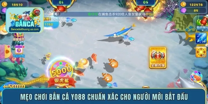 Mẹo chơi bắn cá Yo88 chuẩn xác cho người mới bắt đầu