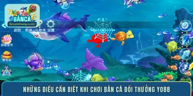 Những điều cần biết khi chơi bắn cá đổi thưởng Yo88